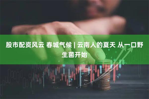 股市配资风云 春城气候 | 云南人的夏天 从一口野生菌开始