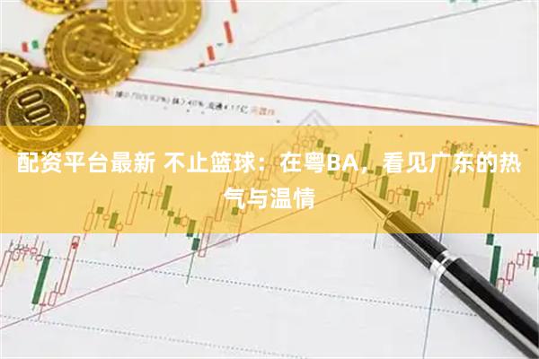 配资平台最新 不止篮球：在粤BA，看见广东的热气与温情